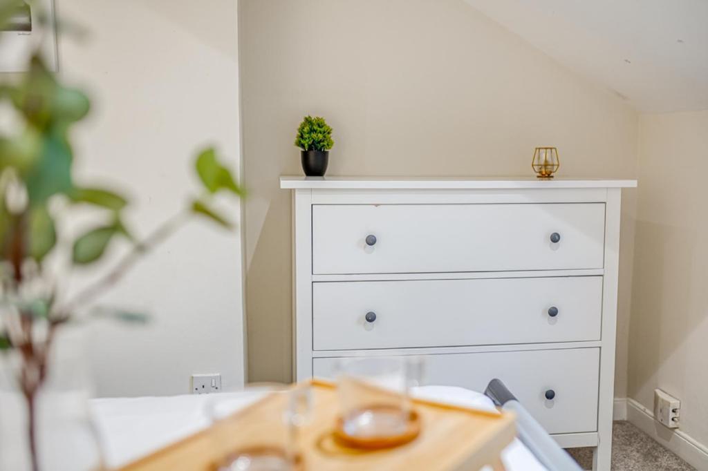 Charming City Home, Beside The Serene Ormeau Park Μπέλφαστ Εξωτερικό φωτογραφία